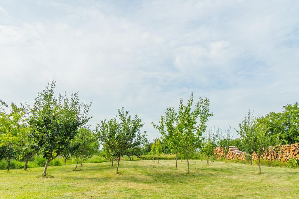 Garden Holiday Home Drenje  Exterior photo